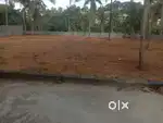 Sreekariyam kariyam 10cent.karabhumi