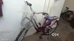 Florence new cycle