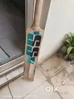 SS cricket bat