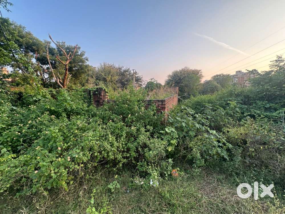 141 sq yd plot very good location vaishali nagar sirsi road