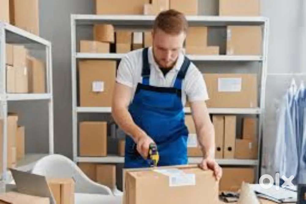 Packing scaner werhouse