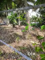 4cent square plot