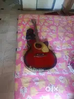 Holmer Guitar