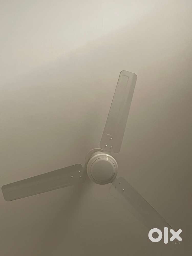 6 Crompton Celling fan