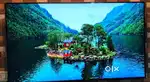 LG QNED81 55 inch (120Hz), HDR10 4K UHD Smart TV