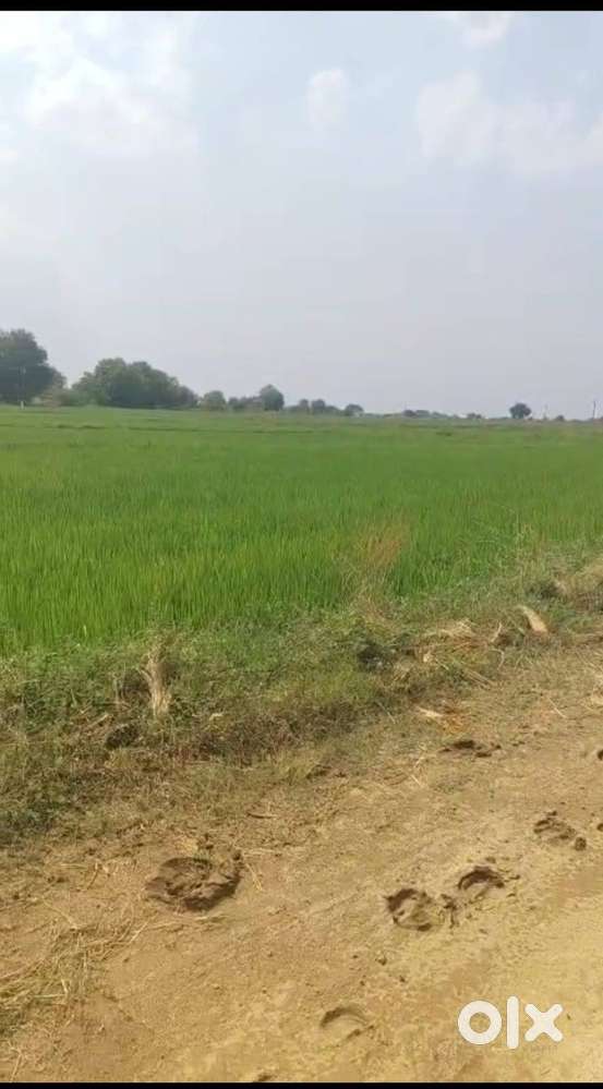 3 acre land for sale at Kolkur, Sadasivpet Mandal, Sangareddy District