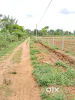 23 gunta land sale T NARSIPURA ROAD VARKUDU ALL AREAS AVAILABLE
