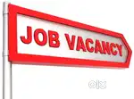 REQUIREMENTS AIRPORT DRIVER AND GROUND STAFF