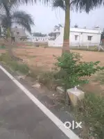 CSK Real estate