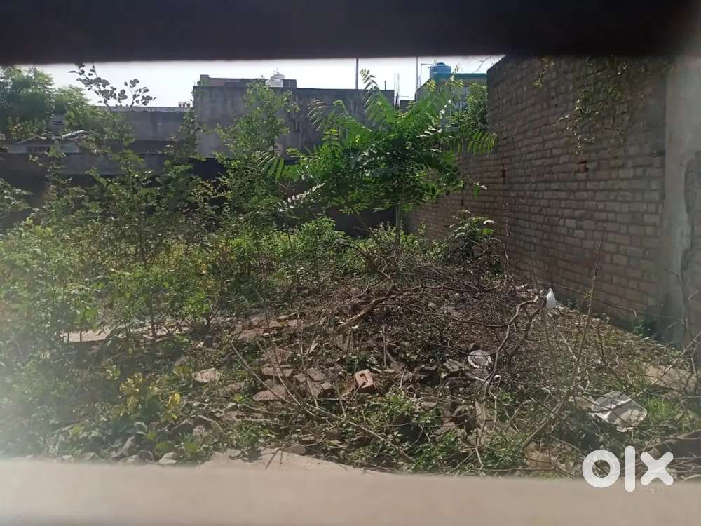 I want to sale this plot