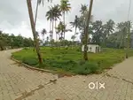 Plot for sale 4,5,6 cent kongorpilly 250 meter bus top