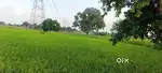 Jirsami  2.5 bigha  link road par
