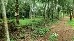 വെമ്പള്ളിൽ പ്ലോട്ട് വില്പനക്ക്