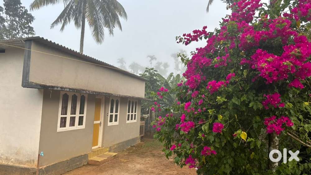 House for rent near Sulthan Bathery