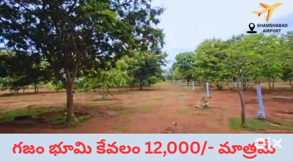 121 SQYDS FARM PLOT 15LAKHS only near SHAMSHABAD