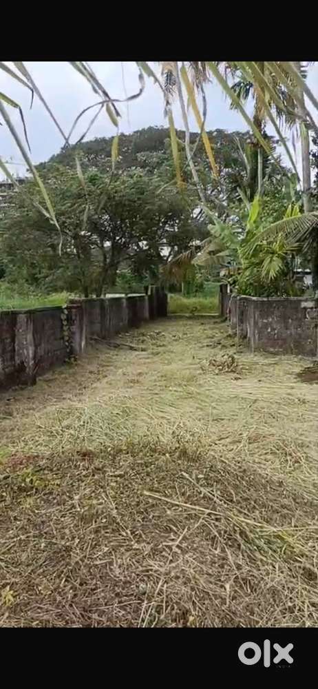 17 cent land for sale near Companypadi Aluva