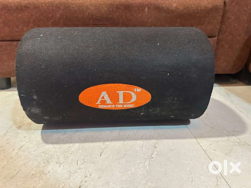Basstube 10inch of AD