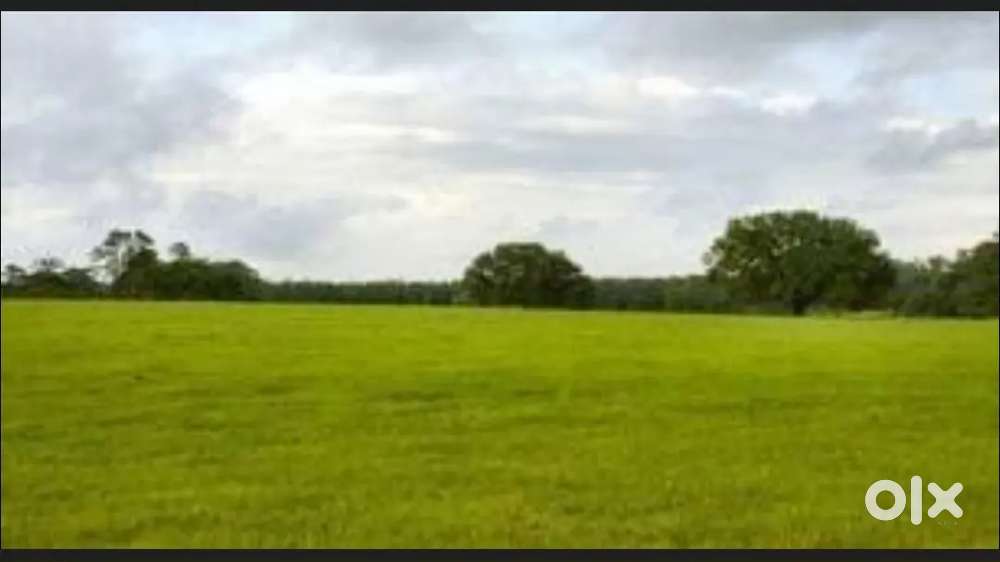 Near aalamgeer gurdwara