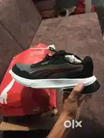original PUMA show's