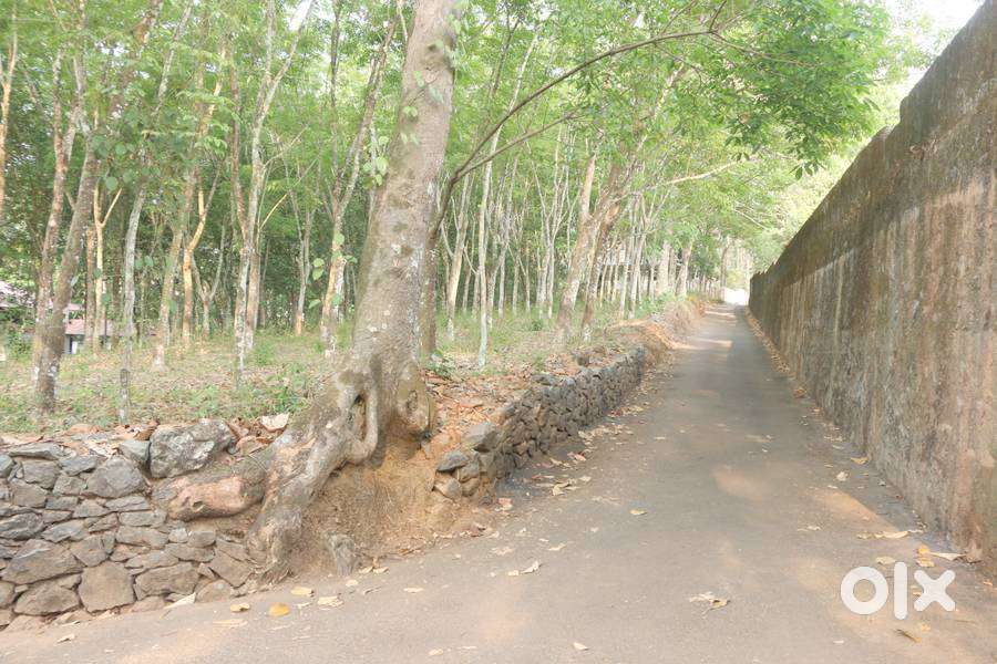Land 45 cents at Caritas 5.10 lakh/cent