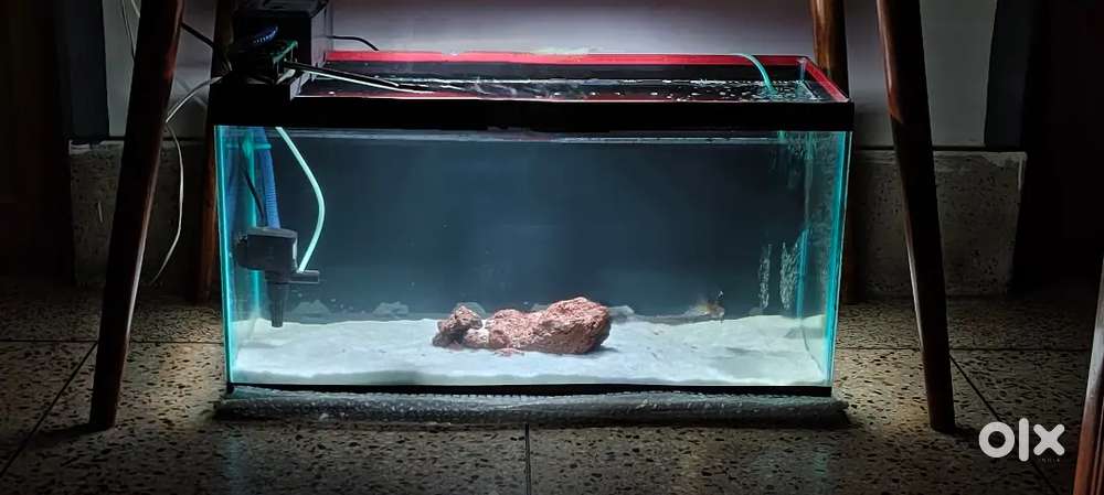 Aquarium glass tank