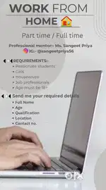 Online work opportunity