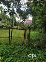 Plot for sale in kayamkulam
