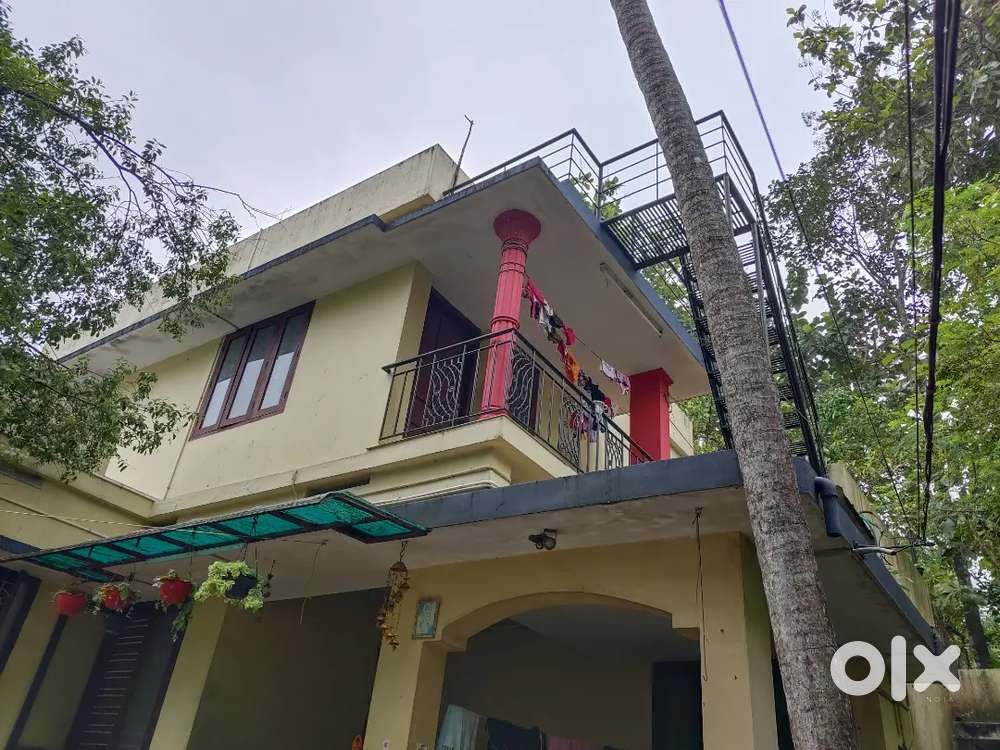 House first floor for rent