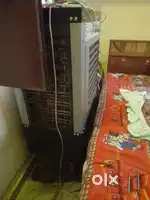 Cooler 1 year old