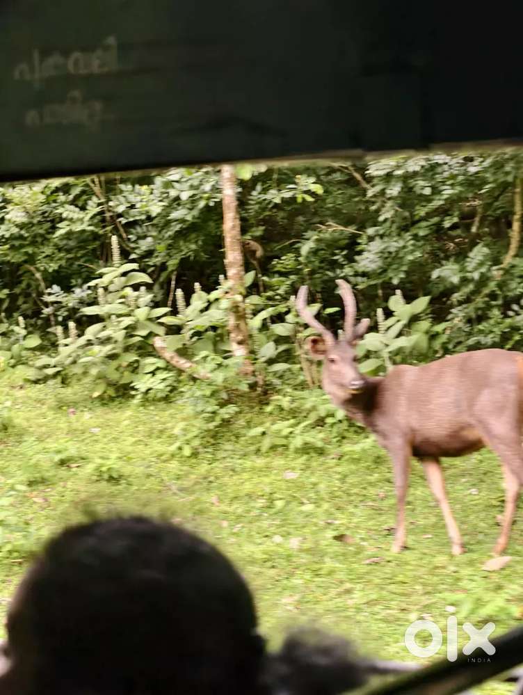 Office staff vacancy for ladies