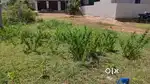30*40 E Katha site in Tumakuru heggere.