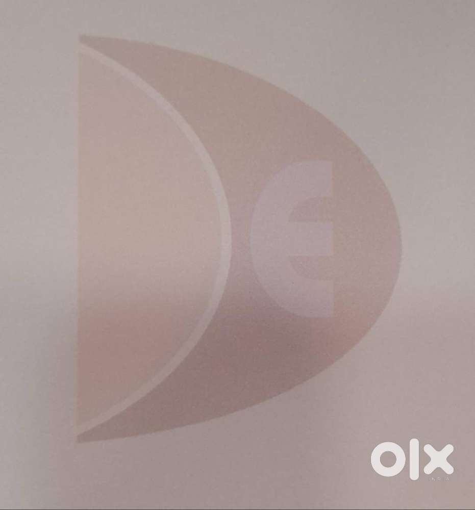 ACCOUNTANT HAVING GOOD KNOWLEDGE OF TALLY PRIME