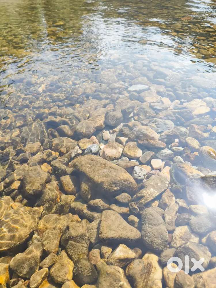 Plot in posh area of Haveli Darwaza Mahoba