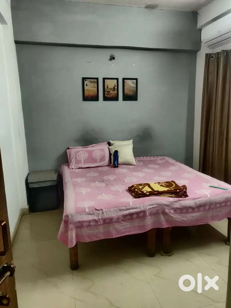 Need a Roommate Girl