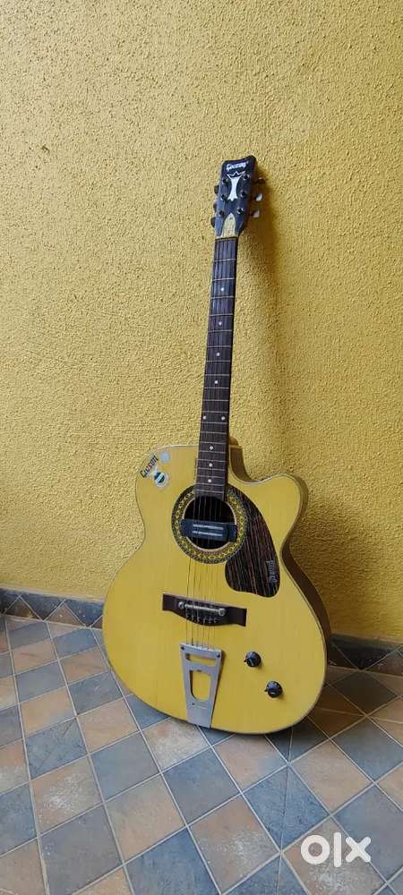 Givson guitar for sale