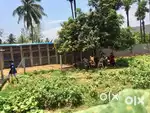 Road facing properties are available at anandapuram