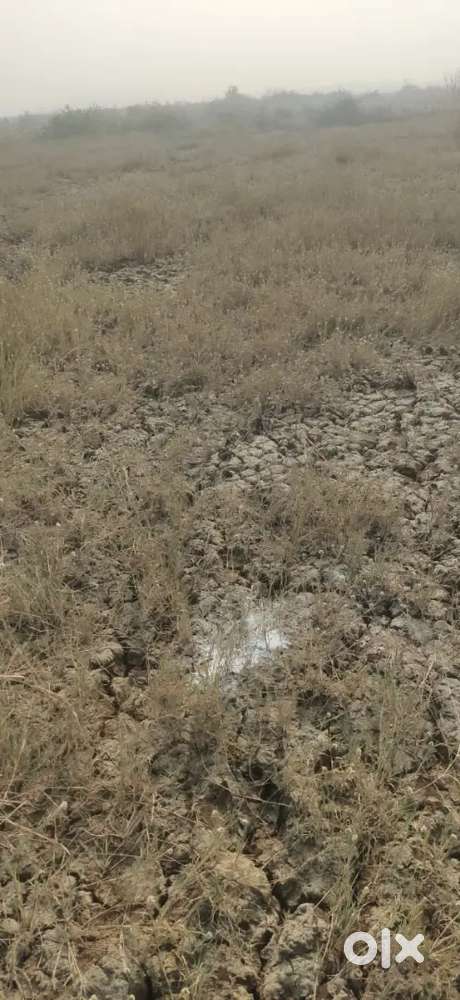 Navi mumbai international airport