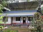 House with 47 cent land