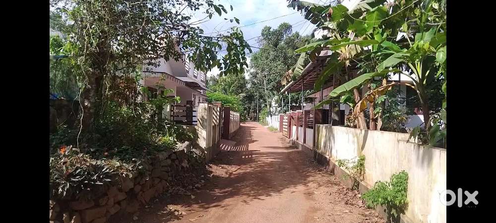10 cent plot at 7th mile. 2km far from kottayam - kumali road