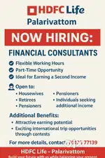 Financial consultant