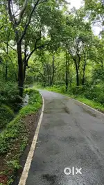RESIDENTIAL PLOT FOR SALE, KERI, AREA-326,@₹2900/SQ MTS