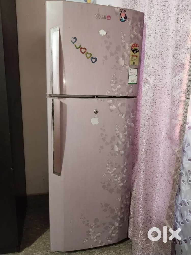 LG double door fridge 260L