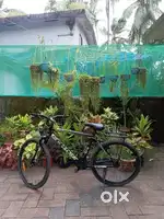 Full condition