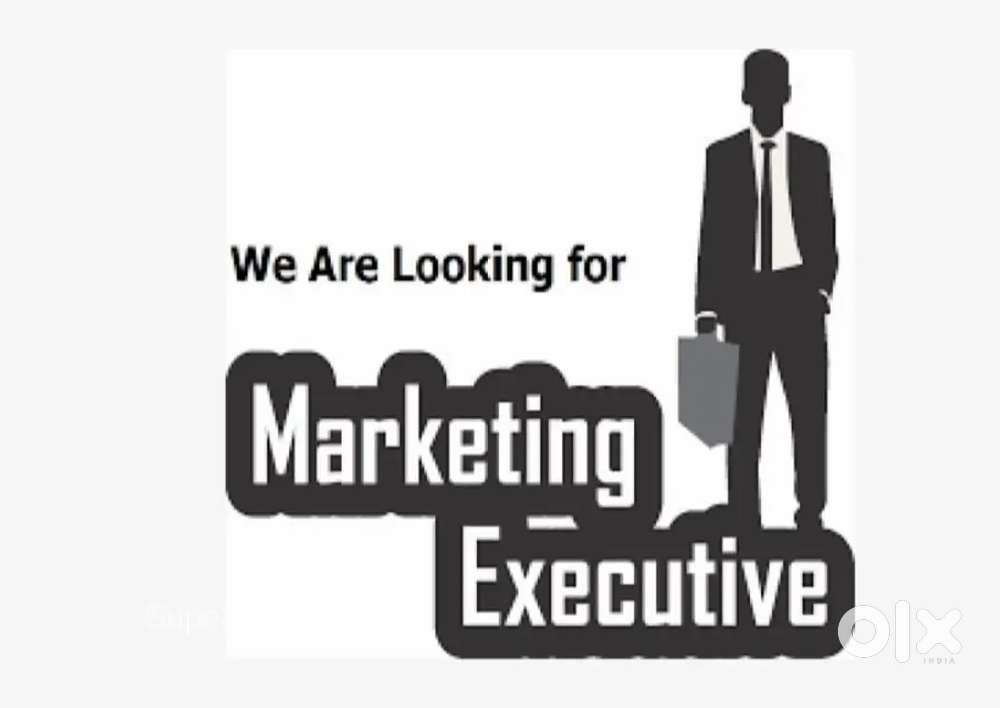 Marketing executives for solar industry