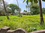 40 cent Commercial land for sale at Aluva-Paravoor Bus route frontage