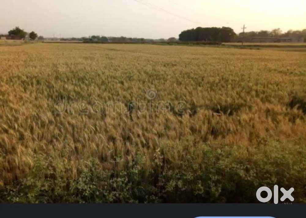 Thes biga jmin-tubail kakrana udaipurwati Jhunjhunu