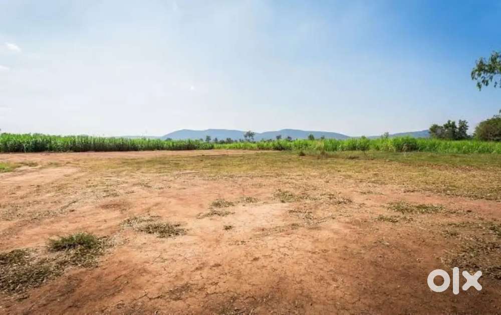 Open land available for rent and lease at Shalibanda.