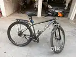 Coco bicycle