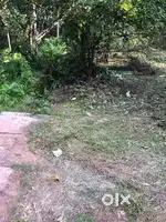 Kannur Varam