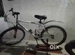 Gang Sport Bicycle